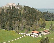 Schlossbergalm mit Burgruine