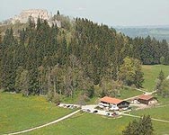 Schlossbergalm über Zell mit Burgruinen Schlossbergalm mit Burgruine