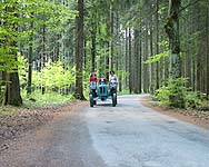 Fahrt durch den Wald